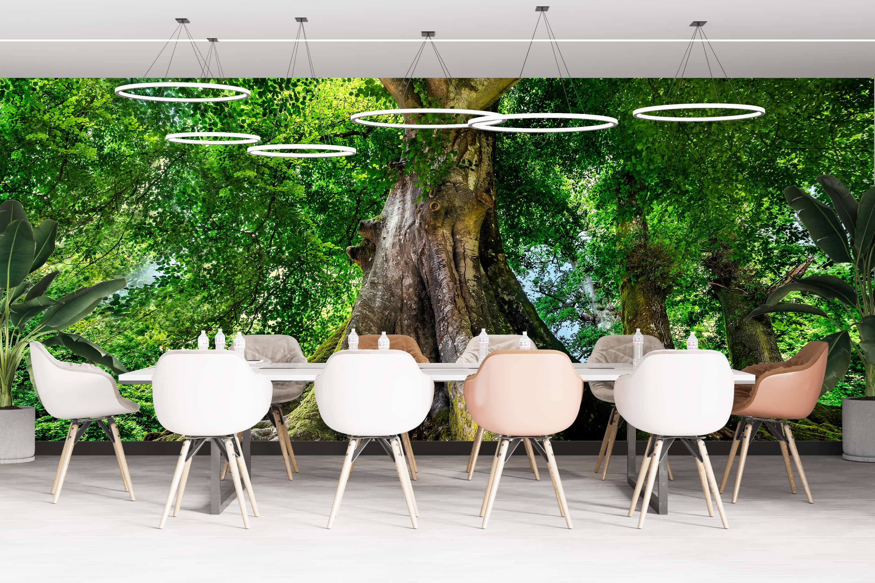 papier peint paysage cuisine