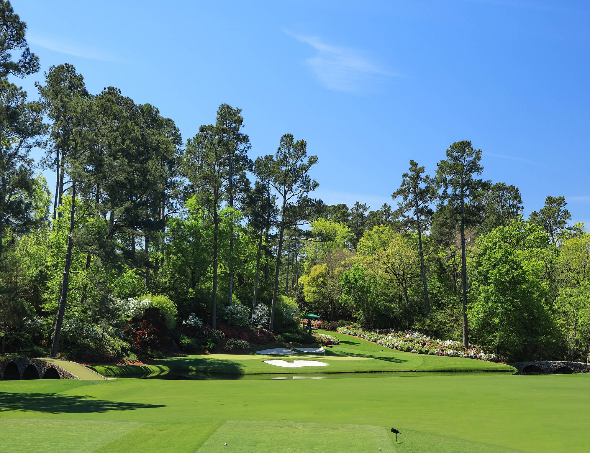 augusta 12 v2