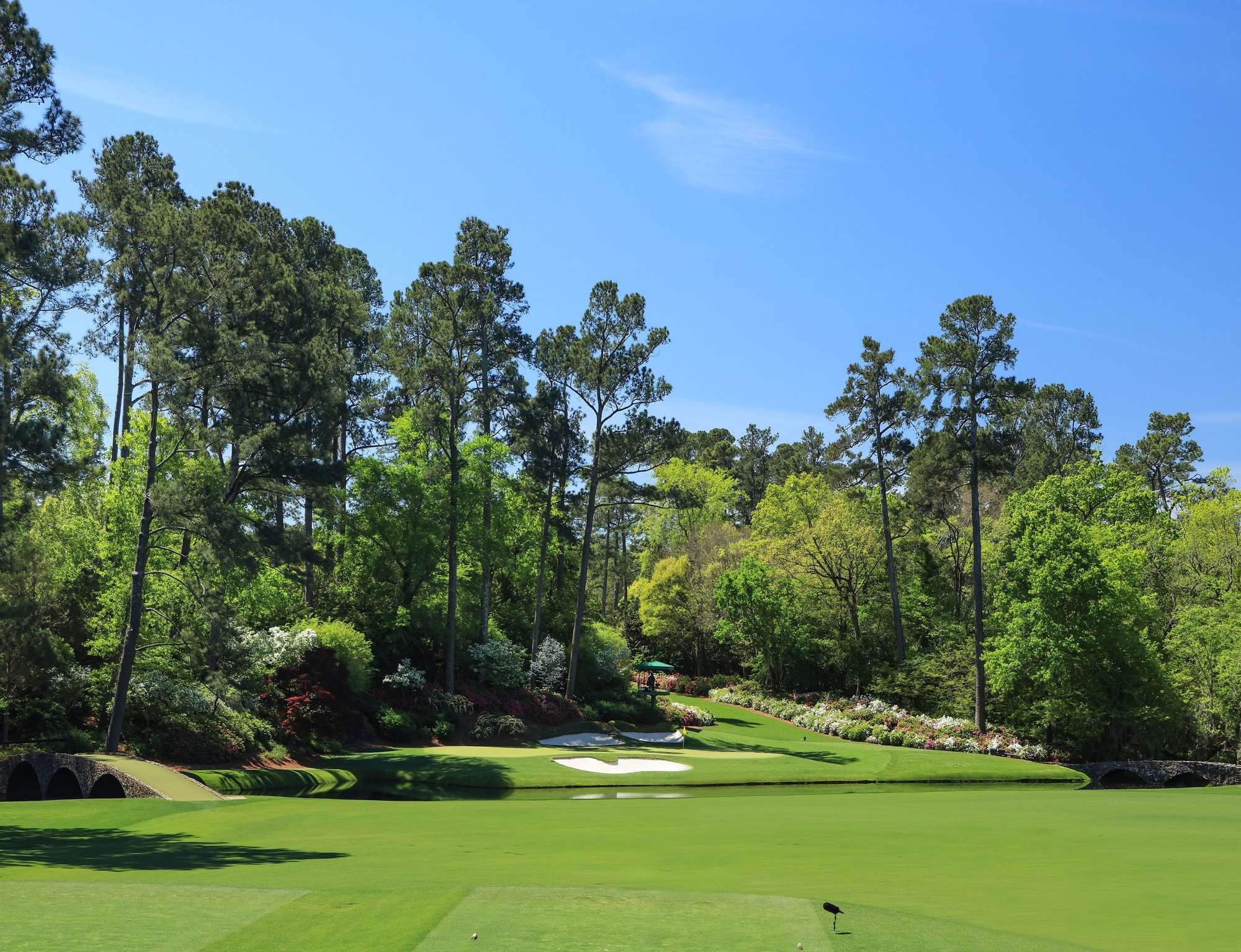 augusta 12