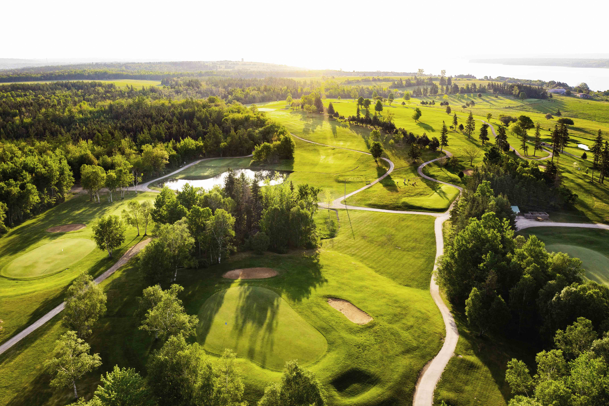 golf course 2