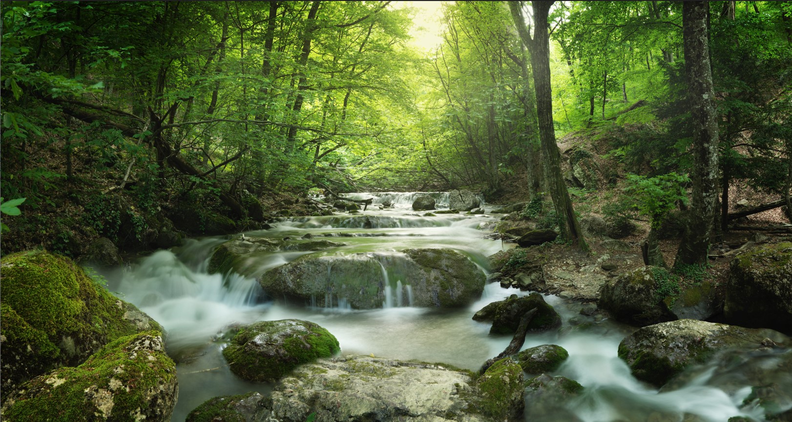 Fotolia_65985516